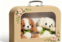 Caja de embalaje de juguete para niños con diseño personalizado reciclable Maleta de cartón de lujo Regalo con transparente