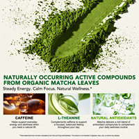 Poudre de Matcha d'Extrait de Thé Vert Moulé à la Pierre de Qualité Alimentaire Marque Privée Lenm – Antioxydants, Apaise et Favorise la Concentration pour Boissons et Pâtisseries