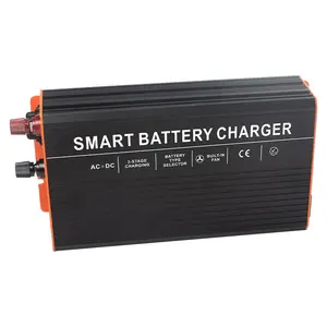 12V 24V 36V 48V özelleştirilmiş Lifepo4 lityum pil şarj cihazı