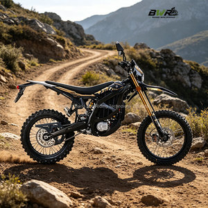 Motocicleta Eléctrica Todoterreno de Alta Velocidad 95km/h 520N.m Ultra Bee HP X - Product Image 5