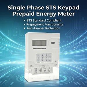 <span class=keywords><strong>Compteur</strong></span> d'électricité prépayé STS à clavier monophasé avec communication sans fil RF/LoRa compatible avec le système de vente AMR AMI - Product Image 5