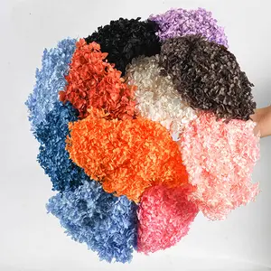 Factory direct shipment of various colors of hydrangea dried flowers decoration dried hydrangea flowers