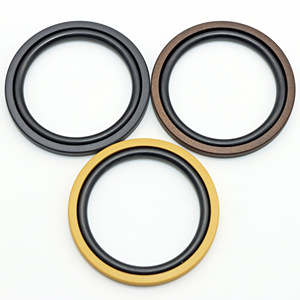 PTFE สปริงแรงเสียดทานต่ำ upe เพลาหมุนเครื่องจ่ายซีลแหวน - Product Image 3