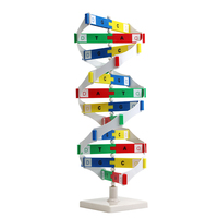 Modelo de estructura de molécula de ADN para enseñanza de ciencias médicas y Biología