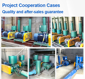 Penjualan Laris Blower Roots Murah untuk Instalasi Pengolahan Limbah (STP) dengan Sertifikat ISO9001, CE, dan EAC - Product Image 5
