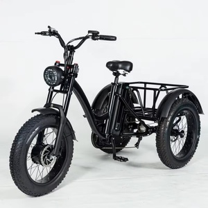 Triciclo Eléctrico 2024 Nuevo de 7 Velocidades con Llantas Anchas, Bicicleta Eléctrica de Carga de 3 Ruedas con Neumáticos para Nieve - Product Image 1