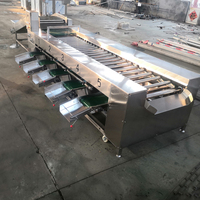 Kleine Tomaat Reemoon Rozijnen Appelaardappel Granaatappel Kersen Bosbessen Fruit Grootte Sortering Machine Motor Food Grade Roestvrij 1-3