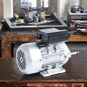 Motor de CA Monofásico Esencial de 50Hz para Uso Doméstico e Industrial, Velocidad de 2800 rpm, Carcasa de Aluminio, Varias Aplicaciones - Product Image 2