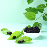 Mûres noires séchées 100% naturelles à vendre