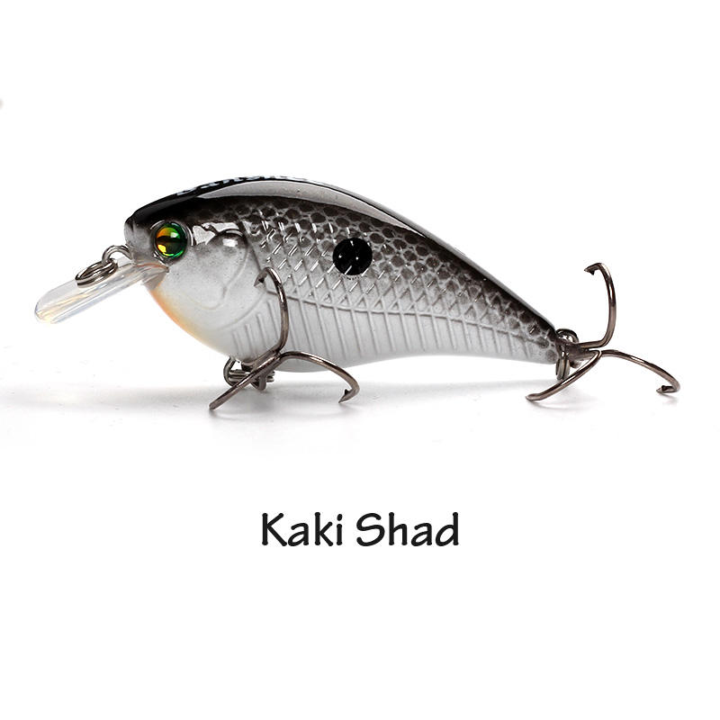 Shad Kaki
