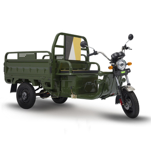 Tricycle Électrique 3PLUSCOCO Type Camion Ouvert Tuk Tuk avec Tension 60V 1000W Homologation CEE COC DOT 25Km/h 45Km/h pour Adulte - Product Image 1