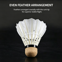 Volants de badminton professionnels légers en plumes de canard de classe B hybride, haute élasticité, pour l'entraînement sportif de niveau tournoi
