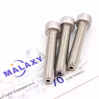 MALAXY Ss304 Gutb4-3-5 Din912 Vis à tête hexagonale creuse ventilée sous vide