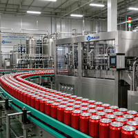 Ligne de production d'usine de canning pour boissons énergisantes gazeuses, machine de remplissage et de sertissage de canettes en aluminium pour bière et boissons
