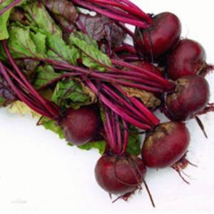 赤ビート根エキス粉末 ベタレイン粉末 ベタニン4%含有、4:1～20:1、ジュース粉末 - Product Image 1