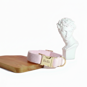 Ensemble de collier de chien à rivets personnalisé avec plomb en nylon-Accessoires de mariage personnalisés en velours côtelé rose pour filles - Product Image 1