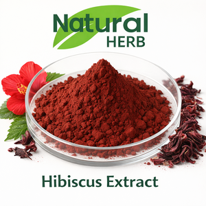食品グレード供給 無料サンプル 100%天然ハイビスカス花エキス粉末 ロゼルエキス - Product Image 2