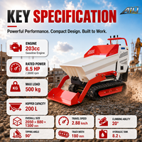 Heißer Verkauf: 500kg Mini-Raupendumper mit Selbstladefunktion, Hydraulischem Antrieb und Briggs & Stratton Motor für Landwirtschaft und Garten