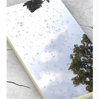 Fabricant chinois de panneaux muraux en fibre de bambou imperméables, feuilles de miroir acrylique flexibles en PET, panneaux en charbon de bambou pour hôtels et salles de sport