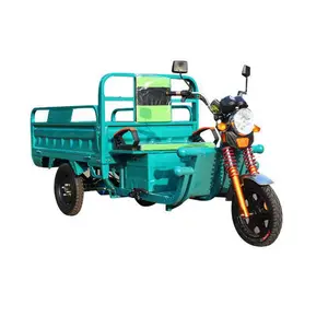 Cargo tricycle electric trike three wheeler tuk tuk 3 wheel bike with 1000W motor and cargo bed