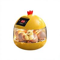 Petit incubateur d'œufs de caille ou de poulet, capacité de 6 ou 8 œufs, pour cours d'enseignement des enfants