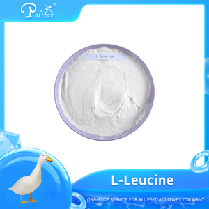 <span class=keywords><strong>L</strong></span> polvere di <span class=keywords><strong>l</strong></span>-leucina di aminoacidi per uso alimentare - Product Image 3