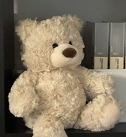 Nouvel Ours en Peluche Taekwondo Personnalisé 2026 – Jouet en Peluche Arts Martiaux avec Uniforme et Ceinture – Compagnon Doux pour Enfants