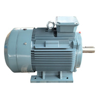 Moteur asynchrone triphasé YE3-280S-6 45KW 60HP 380V 50Hz 1000 tr/min Haute efficacité IE3 Boîtier en fonte Stator 100% cuivre IP55