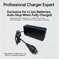 Chargeur de batterie rapide 42V2A-3A-4A en gros pour batterie lithium-ion Bosch 36V, certifié CE UL