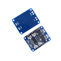 XH-M311 Version Mini Originale TPA3118 DC 12V-24V 60W Module Amplificateur Audio Numérique Mono Kit de Développement