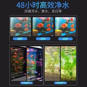 Polvo Clarificador de Agua para Acuarios Jujia 80g para Mejorar la Calidad del Agua de Peces Ornamentales - Product Image 2