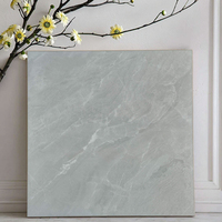 Carreau de porcelaine médiéval 600x600mm Crackle Glaze Résistant au sel Antidérapant Heritage Design Boutique Hall d'hôtel Plancher antique