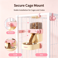Ensemble distributeur automatique de nourriture et d'eau pour animaux de compagnie, alimentation par gravité, grande capacité, outil d'alimentation pour chats et petits chiens