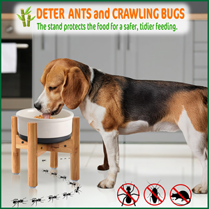 ชามอาหารสุนัขไม้ไผ่สูง9นิ้วแบบปรับได้สำหรับ<span class=keywords><strong>มด</strong></span>พันธุ์กลาง - Product Image 3