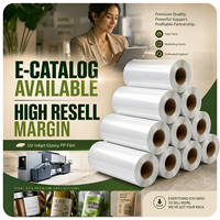 Papier d'impression pour étiquettes en rouleau Jumbo PP, étiquettes imperméables, imprimables à l'encre UV, étiquetage de bouteilles, film PP nacré personnalisé OEM en rouleau