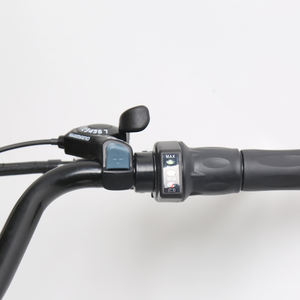 Bicicleta de ocio eléctrica Popular TXED con marco de aleación de pantalla LED 36V 7.8Ah batería de litio bicicleta eléctrica de ciudad para adultos - Product Image 6