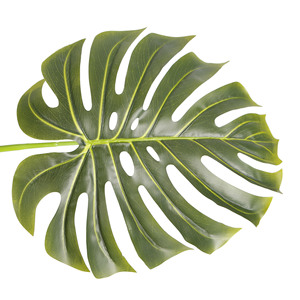 120cm Artificielle Monstera Deliciosa Plante Tortue Feuilles Faux Fromage <span class=keywords><strong>Suisse</strong></span> Plante <span class=keywords><strong>Plantes</strong></span> <span class=keywords><strong>D</strong></span>'<span class=keywords><strong>intérieur</strong></span> en Pot pour La <span class=keywords><strong>D</strong></span>écoration Intérieure - Product Image 4