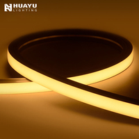 Éclairage néon flexible NS1616 CCT, luminosité uniforme pour des séquences continues prolongées de décoration de façades de complexes commerciaux haut de gamme