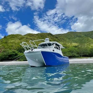 8.8m 29ft Twins Hull High Speed Sport Cat Big Space Aluminum Catamaran Fishing Boat - Product Image 1