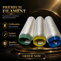 Thrown Silk Yarn 20 22D 18ply Non Twisted Non Intermingled Filament Yarn for Litz Wire Covering