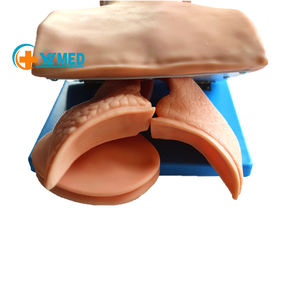 โหมด<span class=keywords><strong>ก</strong></span>ารสอนใส่ท่อ<span class=keywords><strong>ช่วย</strong></span>หายใจผ่านหลอดลมของมนุษย์อิเล็กทรอนิกส์<span class=keywords><strong>ช่วย</strong></span>พยาบาลใน<span class=keywords><strong>ก</strong></span>ารฝึ<span class=keywords><strong>ก</strong></span>ใช้ท่อ<span class=keywords><strong>ช่วย</strong></span>หายใจผ่านหลอดลม - Product Image 3