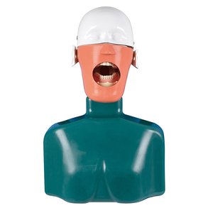 Best Sell <strong>Dental</strong> Model <strong>Dental</strong> <strong>Simulation</strong> <strong>Unit</strong> Manikin Phantom Head <strong>Dental</strong> Phantom - Product Image 3