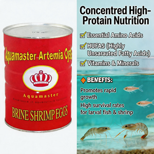 Prix de gros usine Qualité supérieure Bohai bbs Cystes d'artémia Œufs de crevettes de saumure Aliment pour poissons riche en protéines Vitamines Minéraux Tout-en-un - Product Image 4