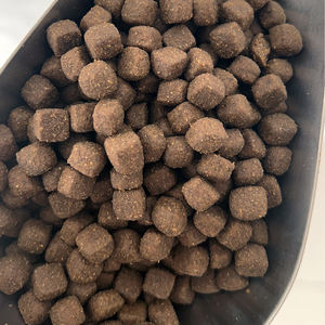 OEM fabrika toptan yüksek Protein doğal beslenme kuru köpek maması toplu tavuk aromalı tüm yaş köpekler için - Product Image 4