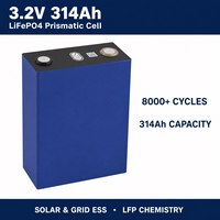 Sel Prismatic LiFePO4 Kelas Otomotif 3.2V 314Ah untuk Kapal dan Yacht dari Gudang Luar Negeri Stok Siap Pakai