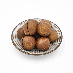 Hot Sell Wholesale <strong>Nuts</strong> High Quality Big Size Delicious Sweet Edible <strong>Macadamia</strong> <strong>Nuts</strong> - Product Image 2