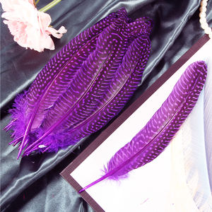 Coloré guinée AILE Plumage Couleur Mixte pour Chapeau Vêtements Accessoire Conception Décoration Fête De Mariage Célébration Choses - Product Image 3