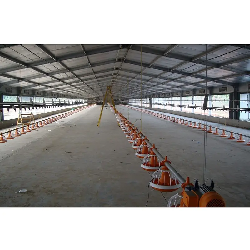 Ferme de volaille pré-assemblée, structure en acier, entreprise de construction pour maison de poulet