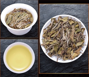 Auf Lager: Chinesischer Fuding Weißtee Bai Mu Dan, loser Blattweißtee, Pai Mu Dan, gealterter Baimudan Weißtee aus Fujian - Product Image 5
