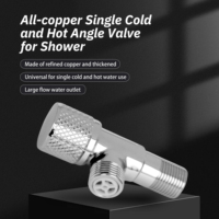 Haute qualité Design moderne vanne d'angle manuelle cuivre laiton multi-fonction eau chaude/froide femmes Bidet robinet épaissi salle de bain